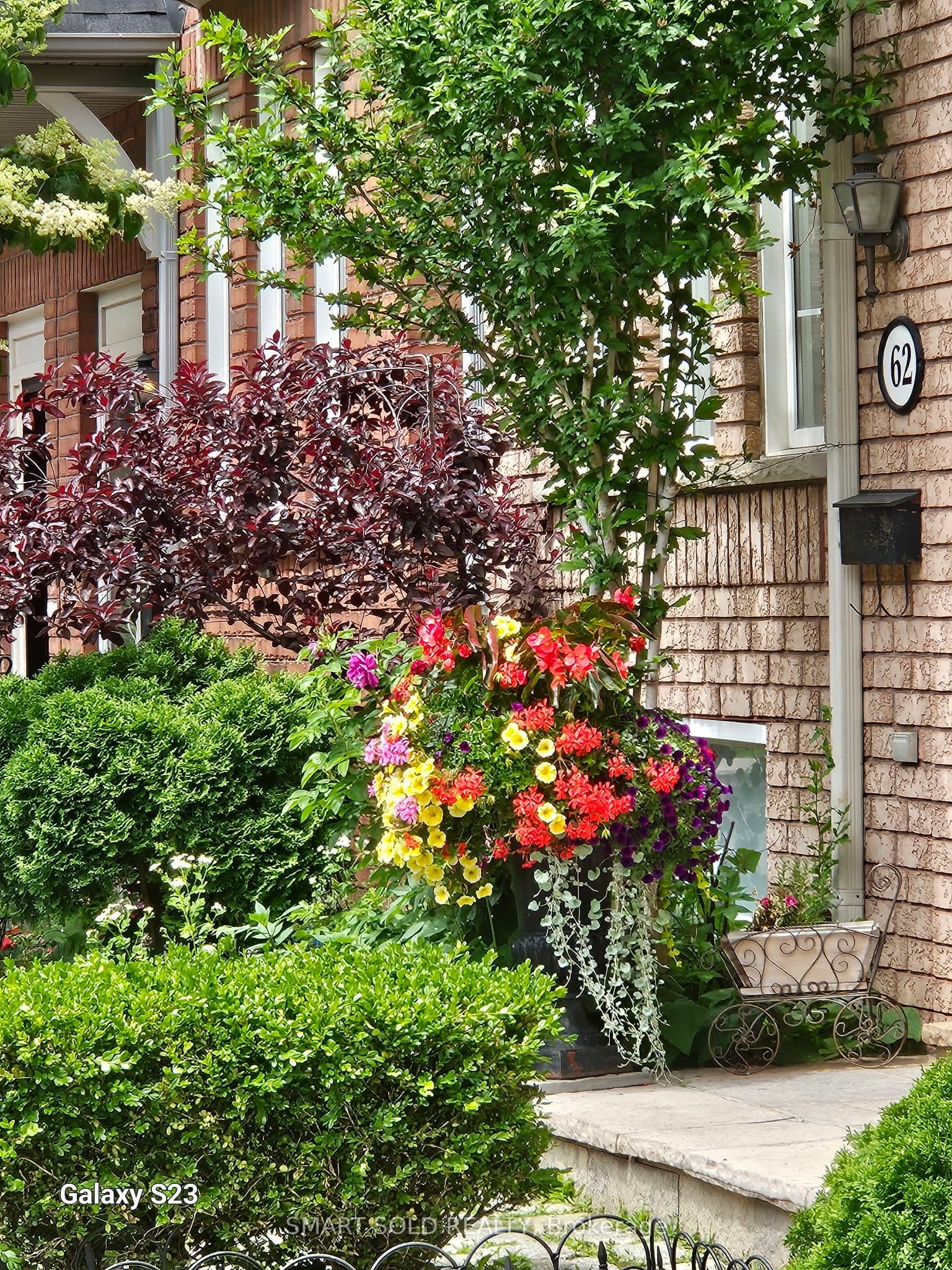 Viella Street, Toronto, ON M6N 5C8